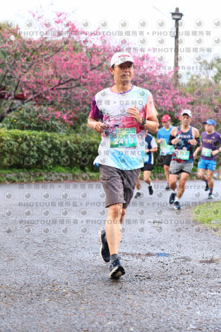 2026左岸竹東櫻花馬拉松Zhudong Sakura Marathon