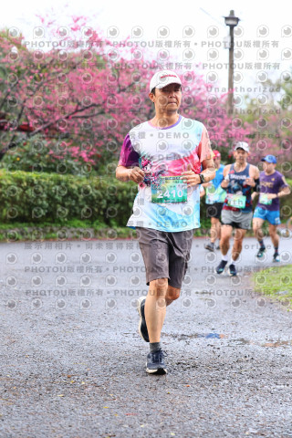 2026左岸竹東櫻花馬拉松Zhudong Sakura Marathon
