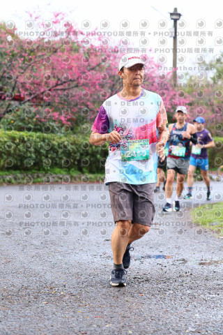 2026左岸竹東櫻花馬拉松Zhudong Sakura Marathon
