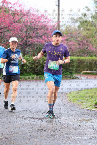 2026左岸竹東櫻花馬拉松Zhudong Sakura Marathon