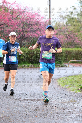 2026左岸竹東櫻花馬拉松Zhudong Sakura Marathon