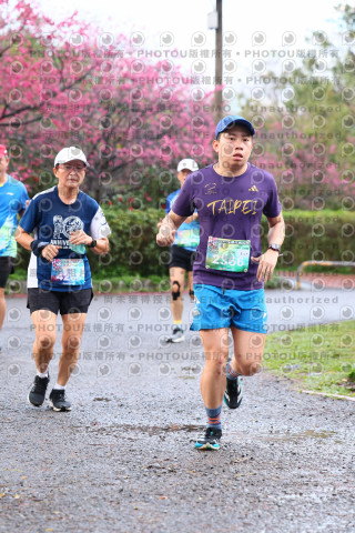 2026左岸竹東櫻花馬拉松Zhudong Sakura Marathon