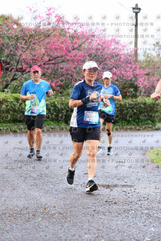 2026左岸竹東櫻花馬拉松Zhudong Sakura Marathon