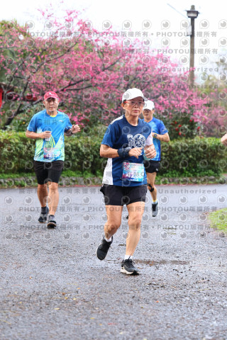 2026左岸竹東櫻花馬拉松Zhudong Sakura Marathon