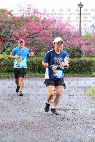 2026左岸竹東櫻花馬拉松Zhudong Sakura Marathon
