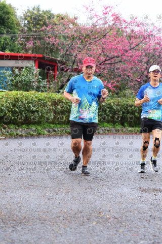 2026左岸竹東櫻花馬拉松Zhudong Sakura Marathon