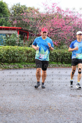 2026左岸竹東櫻花馬拉松Zhudong Sakura Marathon
