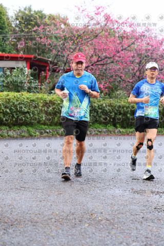 2026左岸竹東櫻花馬拉松Zhudong Sakura Marathon