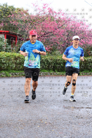 2026左岸竹東櫻花馬拉松Zhudong Sakura Marathon