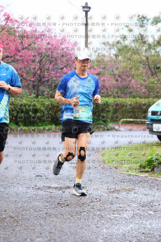 2026左岸竹東櫻花馬拉松Zhudong Sakura Marathon
