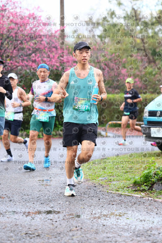 2026左岸竹東櫻花馬拉松Zhudong Sakura Marathon