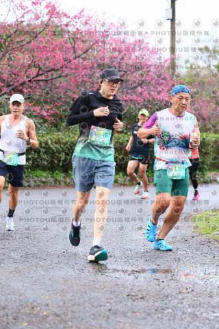 2026左岸竹東櫻花馬拉松Zhudong Sakura Marathon