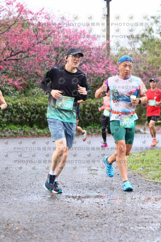 2026左岸竹東櫻花馬拉松Zhudong Sakura Marathon