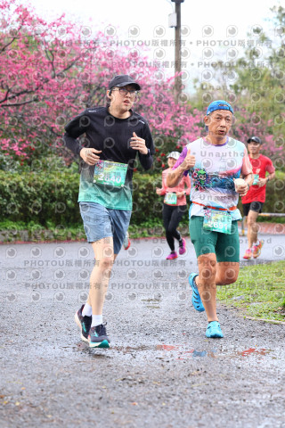 2026左岸竹東櫻花馬拉松Zhudong Sakura Marathon