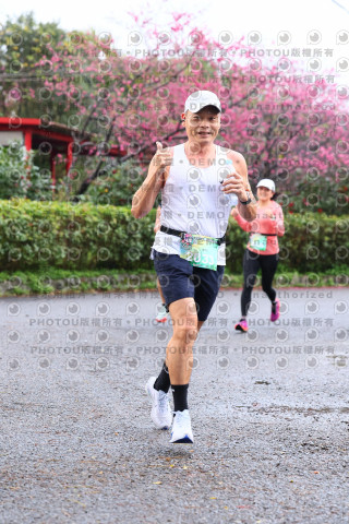 2026左岸竹東櫻花馬拉松Zhudong Sakura Marathon