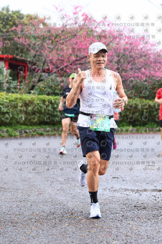 2026左岸竹東櫻花馬拉松Zhudong Sakura Marathon