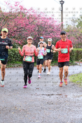 2026左岸竹東櫻花馬拉松Zhudong Sakura Marathon