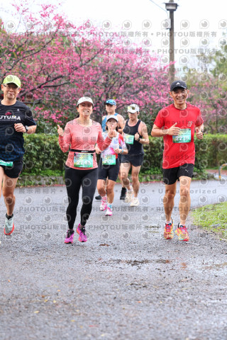 2026左岸竹東櫻花馬拉松Zhudong Sakura Marathon