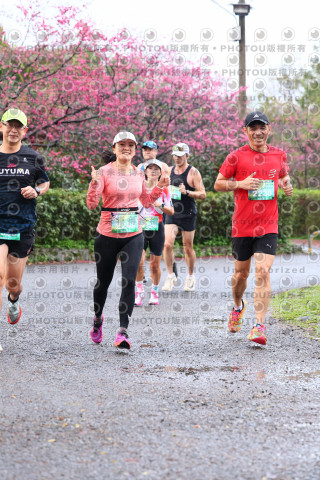 2026左岸竹東櫻花馬拉松Zhudong Sakura Marathon