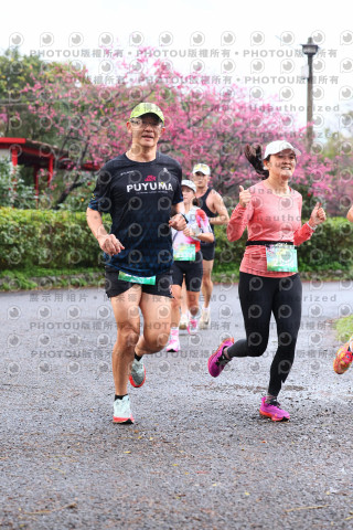 2026左岸竹東櫻花馬拉松Zhudong Sakura Marathon