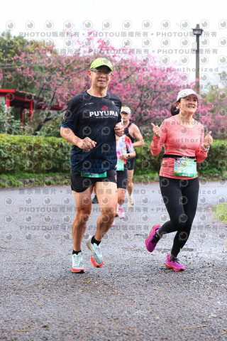 2026左岸竹東櫻花馬拉松Zhudong Sakura Marathon