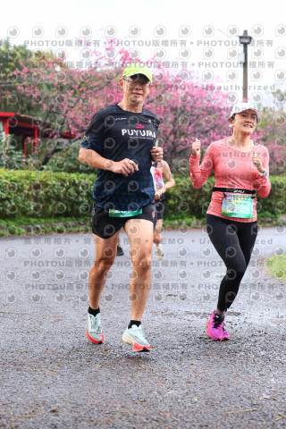 2026左岸竹東櫻花馬拉松Zhudong Sakura Marathon