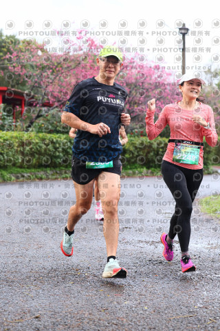 2026左岸竹東櫻花馬拉松Zhudong Sakura Marathon