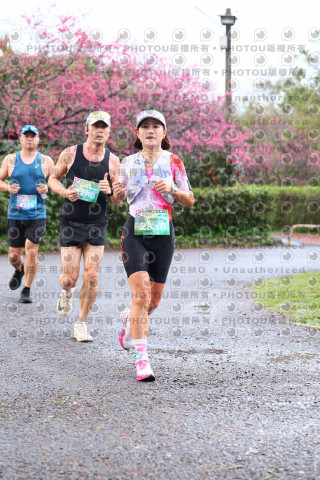 2026左岸竹東櫻花馬拉松Zhudong Sakura Marathon