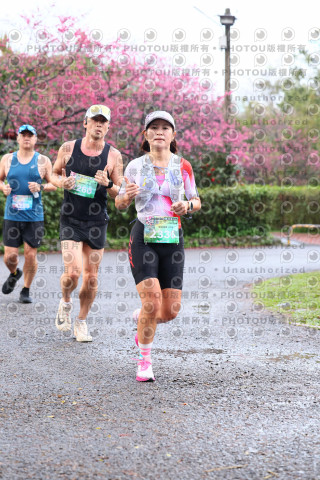 2026左岸竹東櫻花馬拉松Zhudong Sakura Marathon