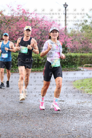 2026左岸竹東櫻花馬拉松Zhudong Sakura Marathon