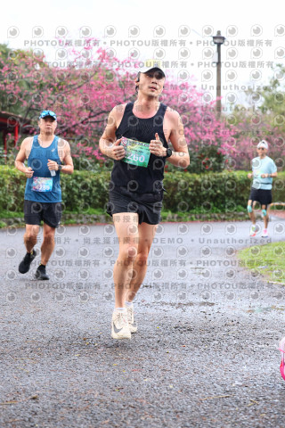 2026左岸竹東櫻花馬拉松Zhudong Sakura Marathon