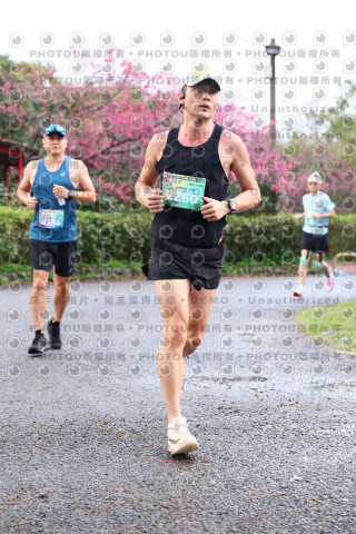 2026左岸竹東櫻花馬拉松Zhudong Sakura Marathon