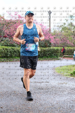 2026左岸竹東櫻花馬拉松Zhudong Sakura Marathon