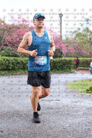 2026左岸竹東櫻花馬拉松Zhudong Sakura Marathon