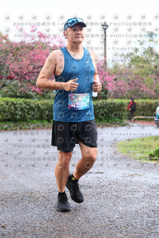 2026左岸竹東櫻花馬拉松Zhudong Sakura Marathon