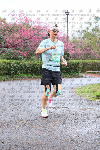 2026左岸竹東櫻花馬拉松Zhudong Sakura Marathon
