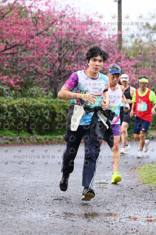 2026左岸竹東櫻花馬拉松Zhudong Sakura Marathon