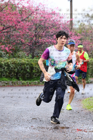 2026左岸竹東櫻花馬拉松Zhudong Sakura Marathon