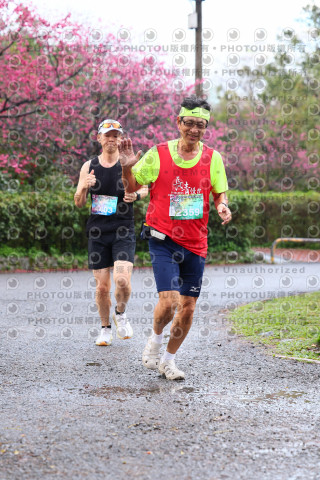 2026左岸竹東櫻花馬拉松Zhudong Sakura Marathon