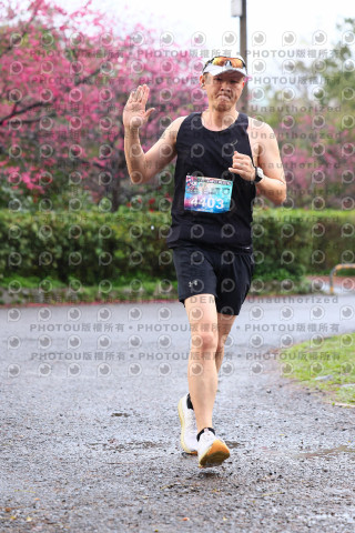 2026左岸竹東櫻花馬拉松Zhudong Sakura Marathon