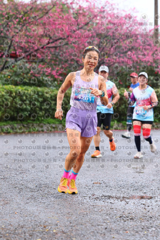 2026左岸竹東櫻花馬拉松Zhudong Sakura Marathon