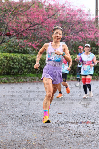 2026左岸竹東櫻花馬拉松Zhudong Sakura Marathon