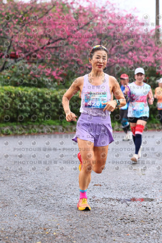 2026左岸竹東櫻花馬拉松Zhudong Sakura Marathon