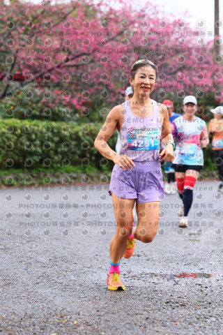 2026左岸竹東櫻花馬拉松Zhudong Sakura Marathon