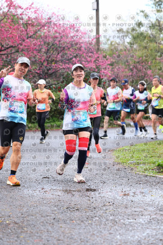 2026左岸竹東櫻花馬拉松Zhudong Sakura Marathon