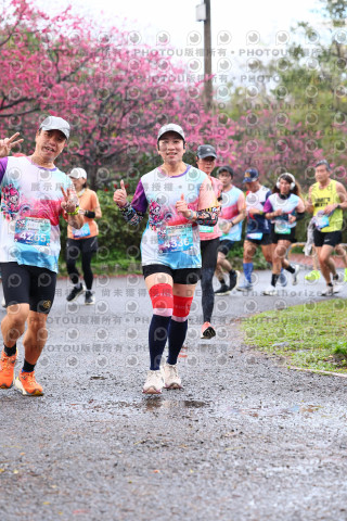 2026左岸竹東櫻花馬拉松Zhudong Sakura Marathon