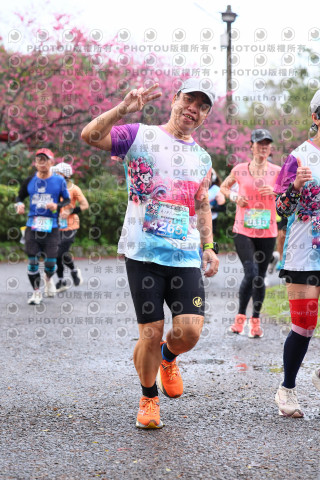 2026左岸竹東櫻花馬拉松Zhudong Sakura Marathon