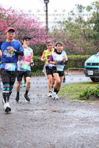 2026左岸竹東櫻花馬拉松Zhudong Sakura Marathon