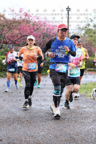 2026左岸竹東櫻花馬拉松Zhudong Sakura Marathon