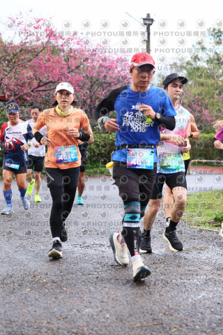 2026左岸竹東櫻花馬拉松Zhudong Sakura Marathon